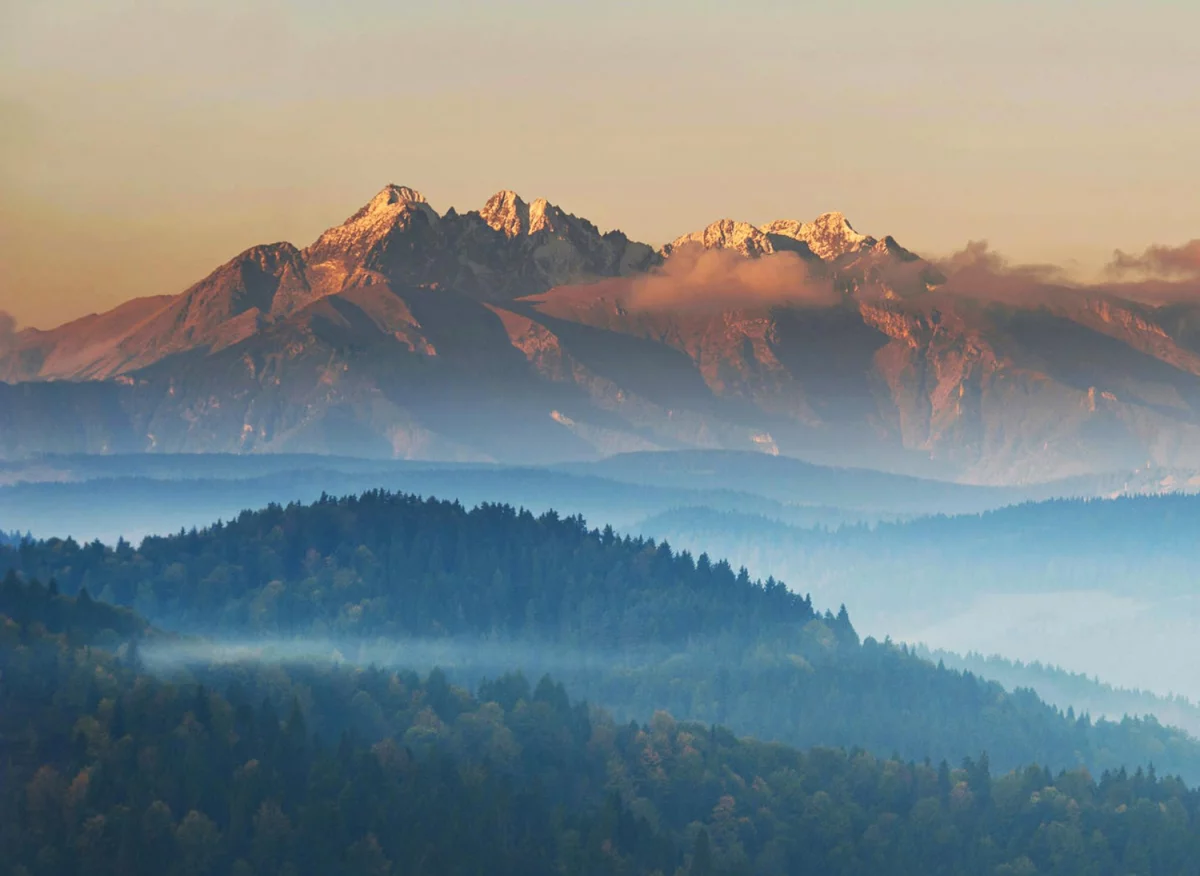 Czy można kupić para cord w pracy?