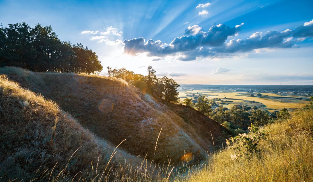 Czy masz możliwość budować altanki?