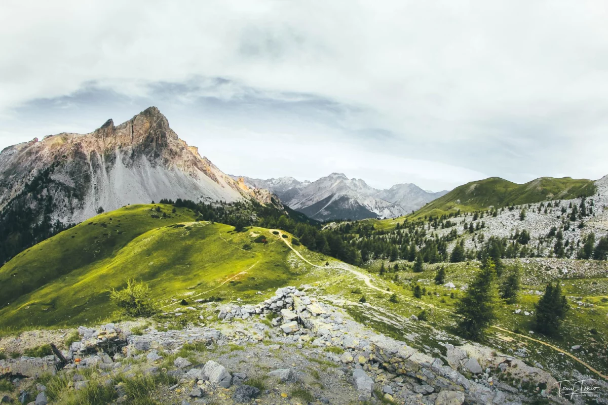 Czym są transformatory