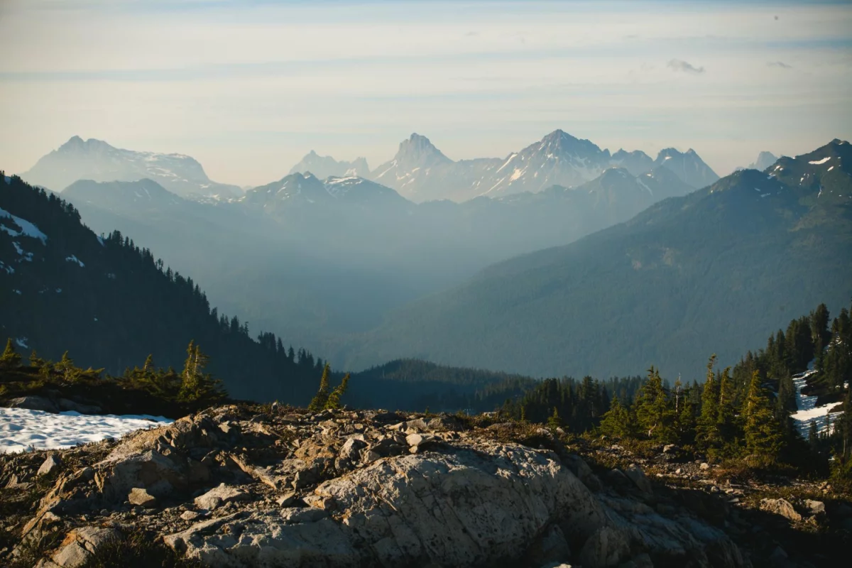 12 Niepokojących Sygnałów, Które Nie Pozwalają Ci kupić kwiaty
