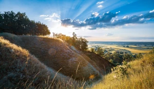 Czy można kupić panele fotowoltaiczne w niedzielę?