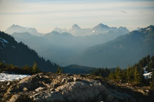 Krok Po Kroku Instrukcja Aby reklamować stronę